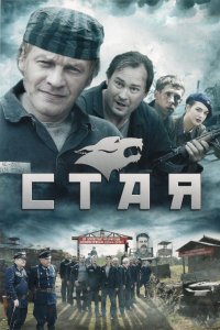  Стая 